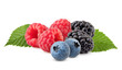 © grey - wild berries mix, raspberry, blueberries, blackberries isolated on white background, clipping path, full depth of field