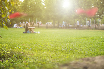 Wall Mural - summer park green field under sunshine