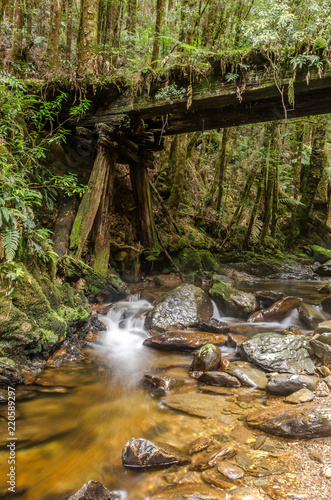 Fotografia, Obraz Part of the abandoned, North East Dundas Tramway along the Montezuma Falls Track, Tasmania, Australia