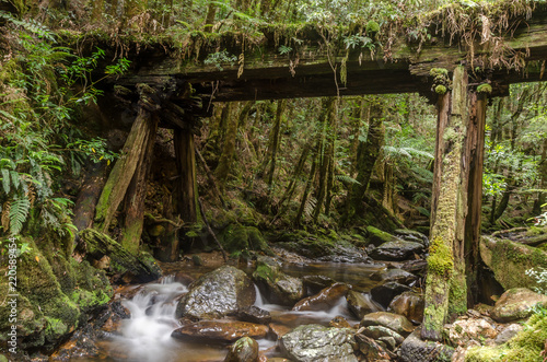 Fotografia, Obraz Part of the abandoned, North East Dundas Tramway along the Montezuma Falls Track, Tasmania, Australia
