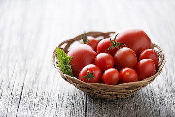 Canvas Print - Tomato