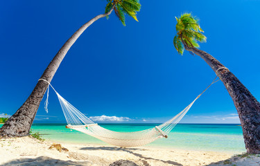 empty hammock in the shade of palm trees, fiji islands