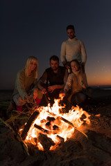 Friends having fun at beach on autumn day