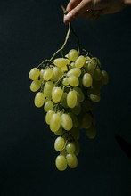 A Hand Holding Grapes On A Dark Background