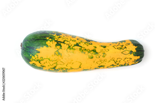 yellow green spotted zucchini