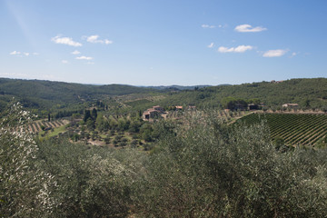 Wall Mural - Scenic views of the Tuscan countryside near Pienza, Italy