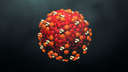 Measles Virus or Virus
