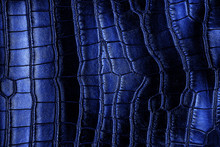 Blue Crocodile Leather Texture, As Background