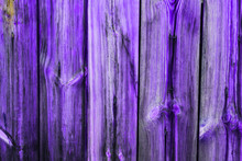 Purple Wood Texture. Vertical Purple Wooden Background For Your Text