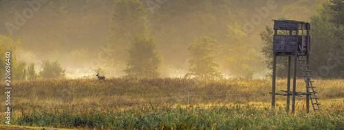 Photographie hunting tower in the valley in the morning mists