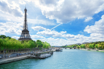 Wall Mural - view of paris with eiffel tower