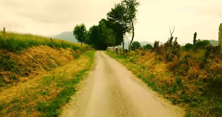 Poster - Rural dirt road between fields in the Pyrenees