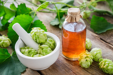 Healthy hop cones in mortar and bottle of medicinal tincture or infusion. Herbal medicine.