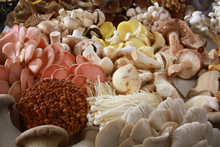 Fresh Uncooked Exotic Mushroom Varieties
