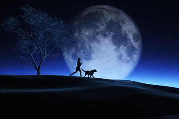 Wall Mural - 3d female and her dog jogging in a night landscape with moon in sky