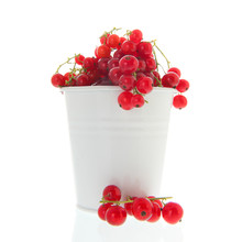Red Currents In White Bucket