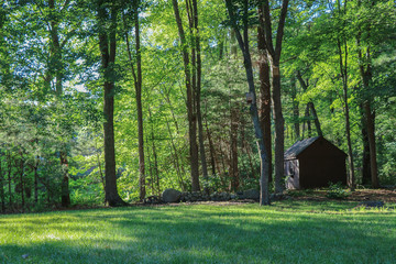 Natural sunlight in a rural area