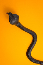 Halloween Background Concept. Top View Of Black Snake On Orange Table