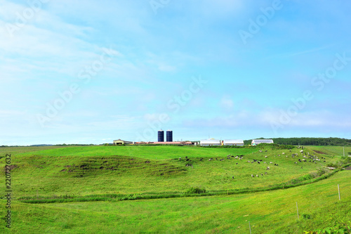 青空の十勝平野 牛と牧場 北海道浦幌町 Buy This Stock Photo And Explore Similar Images At Adobe Stock Adobe Stock 青空の十勝平野 牛と牧場 北海道浦幌町 Buy This Stock Photo And Explore Similar Images At Adobe Stock Adobe Stock