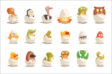 Chicks And Reptiles Hatch From Eggs Set, Unborn Animals Vector Illustrations