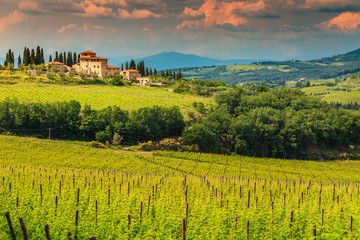 Wall Mural - Fantastic vineyard landscape with stone house, Tuscany, Italy, Europe