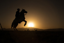 Horse, Cowboy,  At Sunset