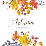 Fototapeta  - Warm autumn floral background