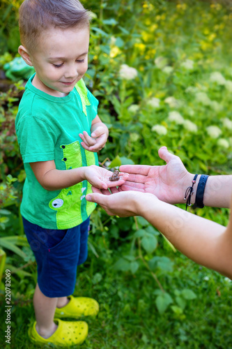 A Little Boy Is Playing With A Frog In Nature Kids