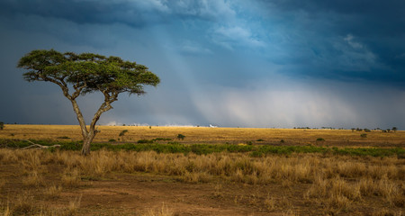 landing airplane in africa storm