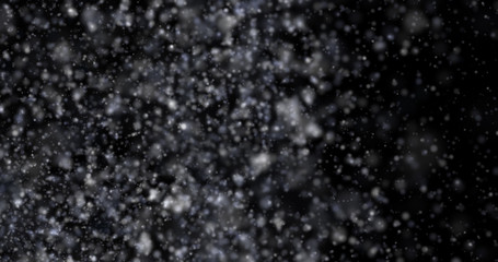 Wall Mural - Snowfall on a black background