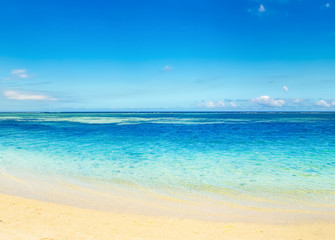 Sandy tropical beach. Beautiful landscape.