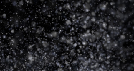 Wall Mural - Snowfall on a black background