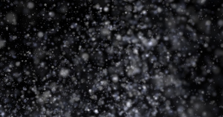 Wall Mural - Snowfall on a black background