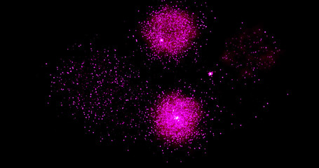 Wall Mural - Fireworks on a black background