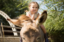 Little Girl Sits On A Donkey  Is Resting On A Farm In The Summer