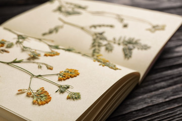 Wild dried meadow flowers in notebook on table, closeup