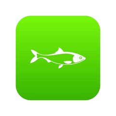 Wall Mural - Fish icon digital green for any design isolated on white vector illustration