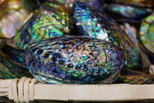 A Basket Of Blue And Green Mother-of-pearl Abalone Paua Shell In New Zealand