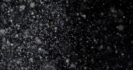 Wall Mural - Snowfall on a black background