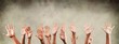 © BillionPhotos.com - Set of raised hands, isolated on white