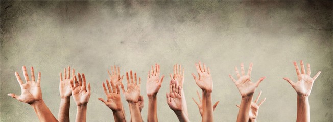 Wall Mural - Set of raised hands, isolated on white