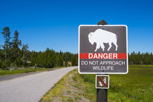 Danger Do Not Appoach Wildlife,bison Sign Pole Near By Walkway.
