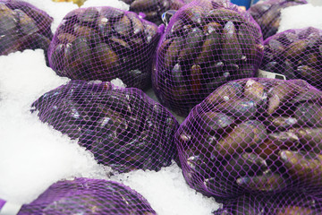 fresh raw mussel in the bag on the ice