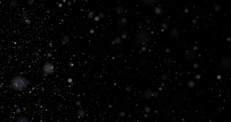 Wall Mural - Snowfall on a black background