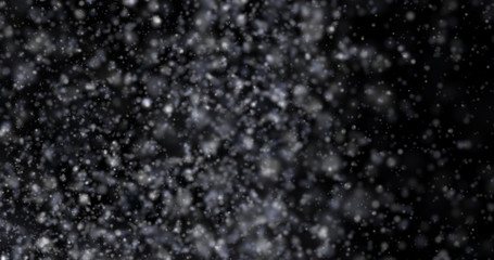 Wall Mural - Snowfall on a black background