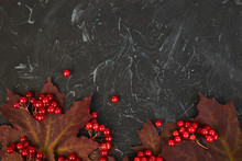 Autumn Background With Autumn Maple Red Leaves And Viburnum Berries