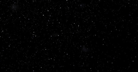 Wall Mural - Snowfall on a black background