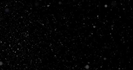 Wall Mural - Snowfall on a black background