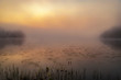 Foggy morning sunrise by the lake