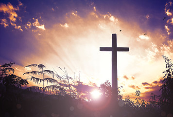 Wall Mural - salvation concept: the cross symbol of jesus christ and church of god